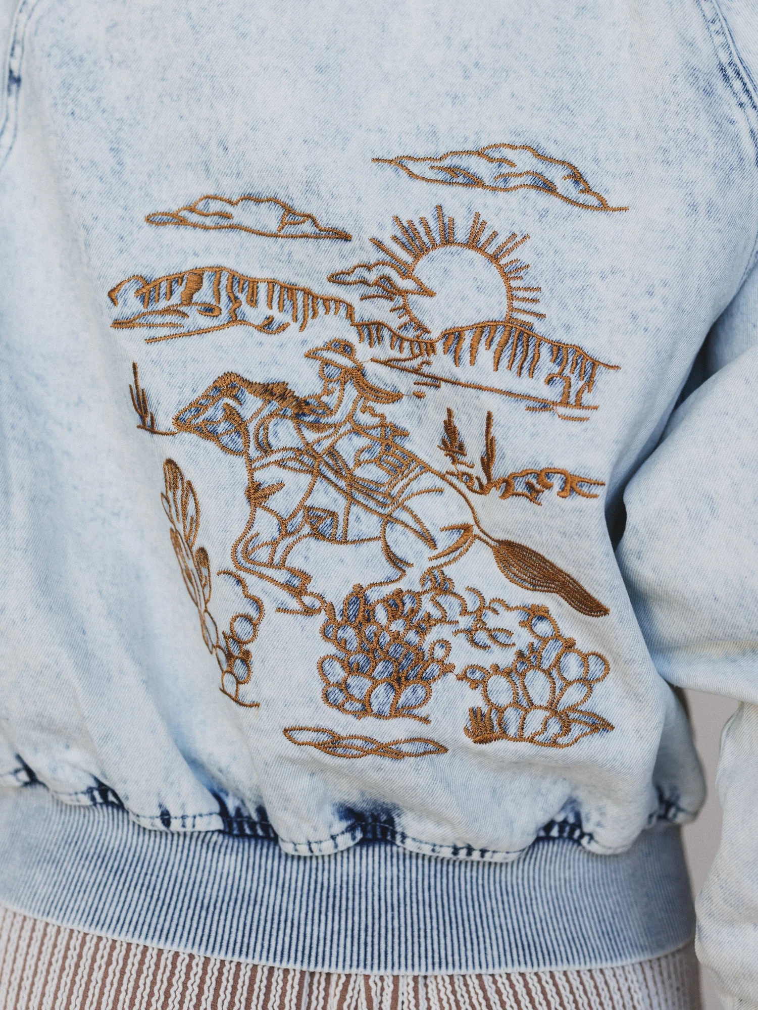Beauty of the West Embroidered Jacket - Light Wash - Image 3